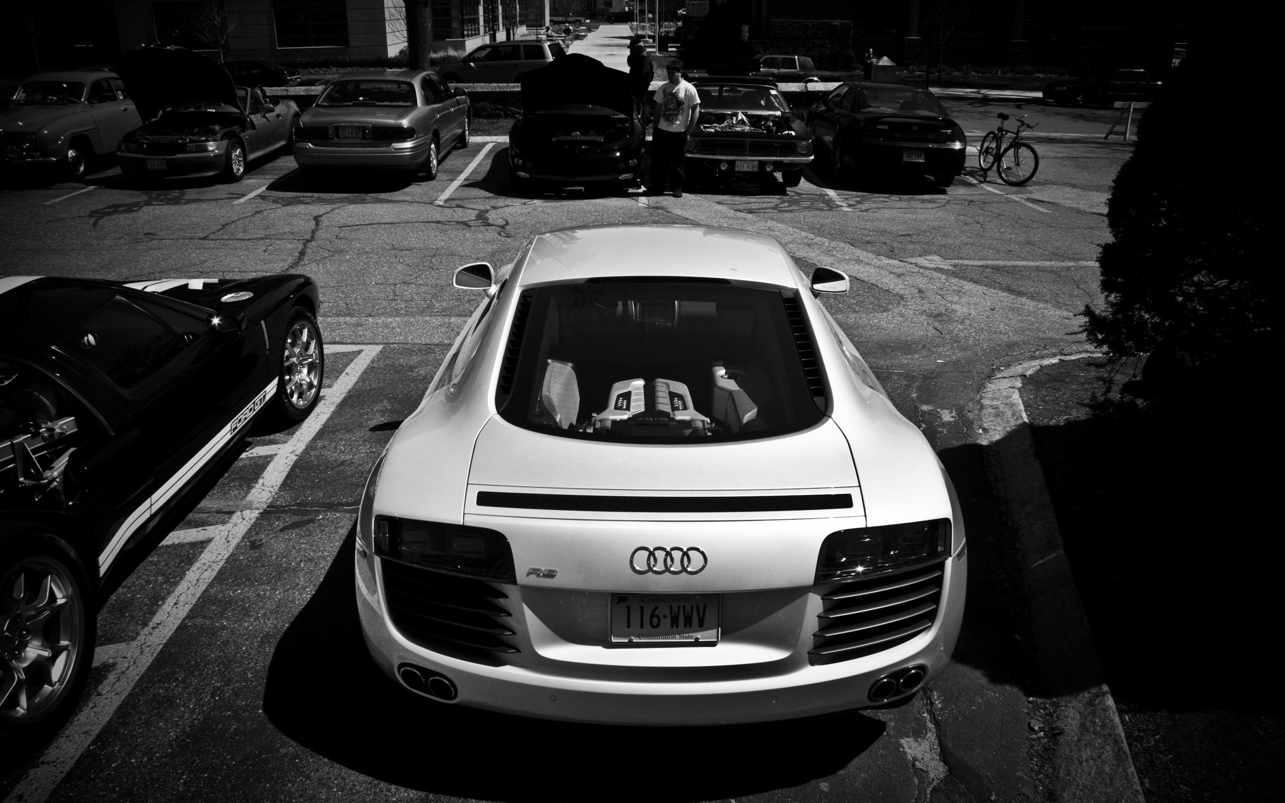 3d обои Белая Ауди / Audi  бренд # 20993