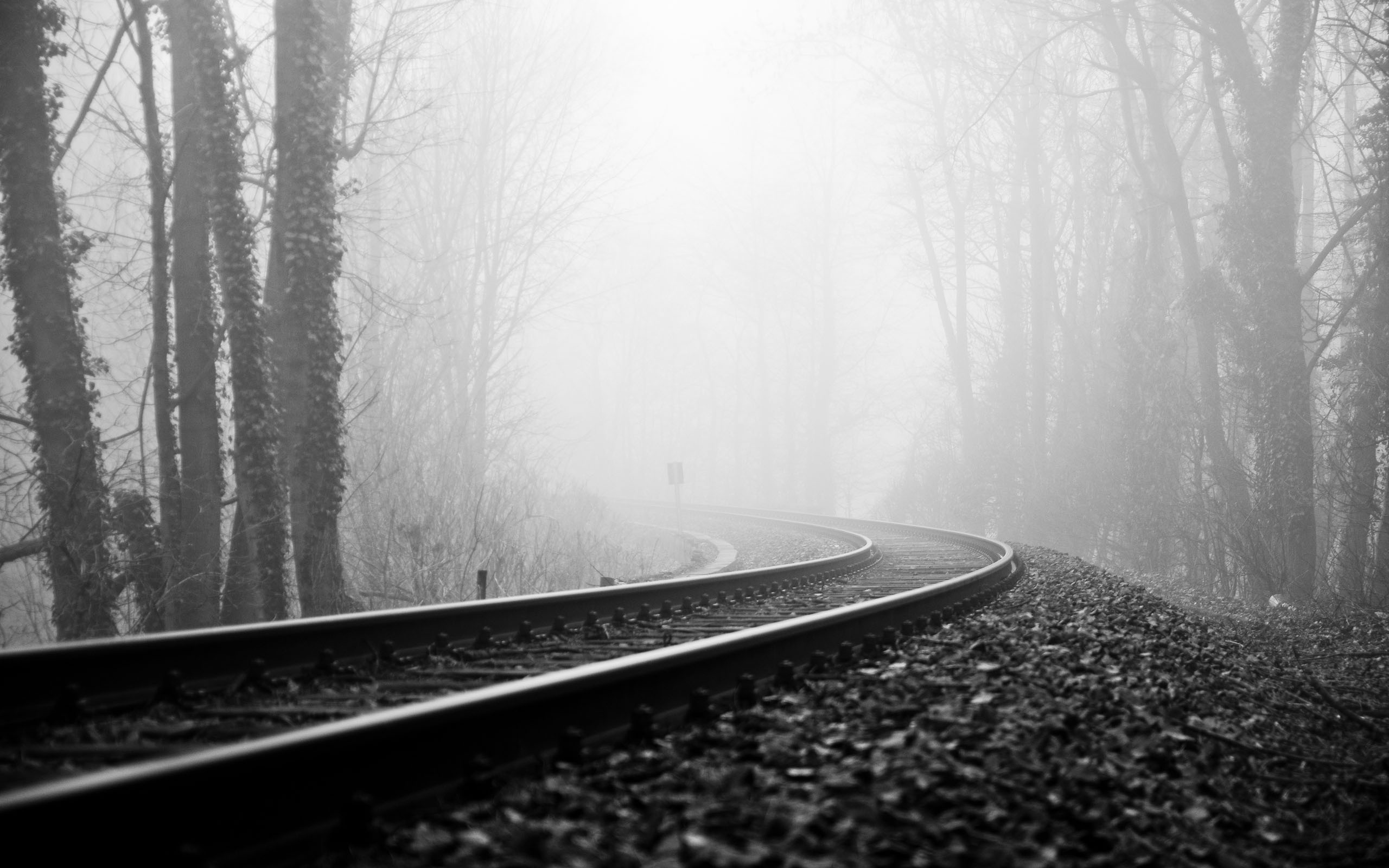 3d обои Железная дорога в туманном лесу  черно-белые # 88632