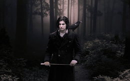 3d обои Мрачный мужчина с вороном на плече в лесу  черно-белые
