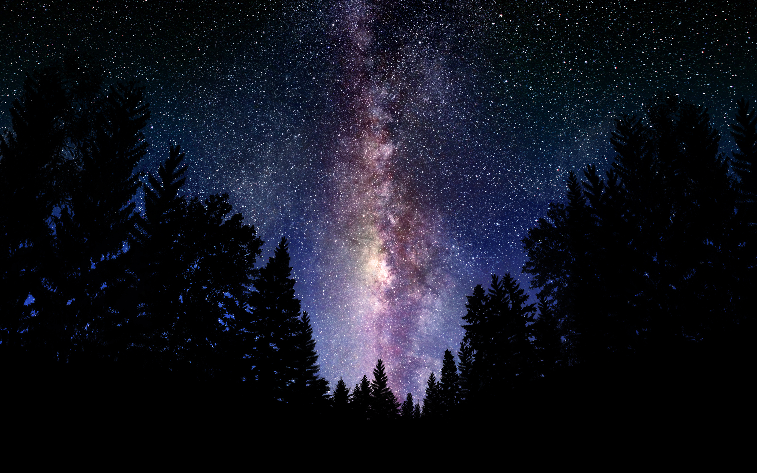 3d обои Звездная ночь над лесом  лес # 49404