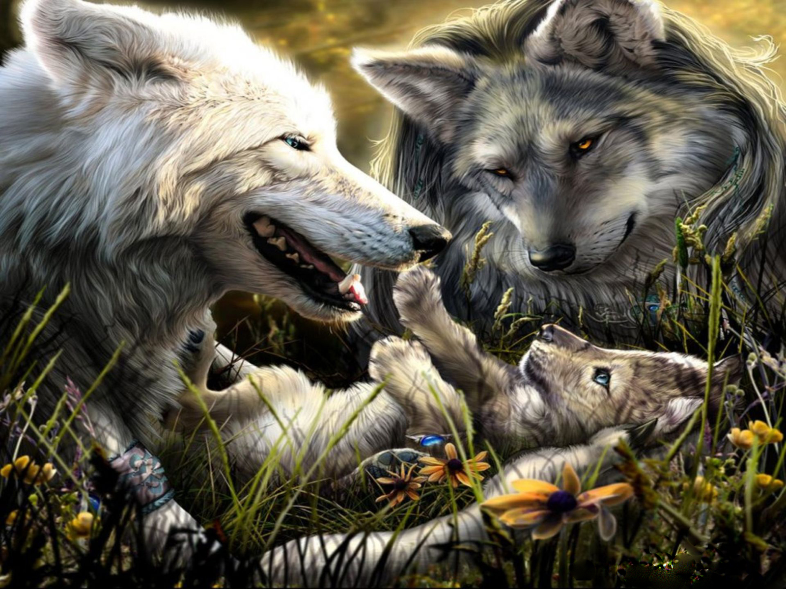 3d обои Волки отдыхают вместе со своим детенышем  цветы # 86345