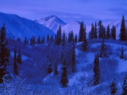 3d обои Ночь на Аляске  горы