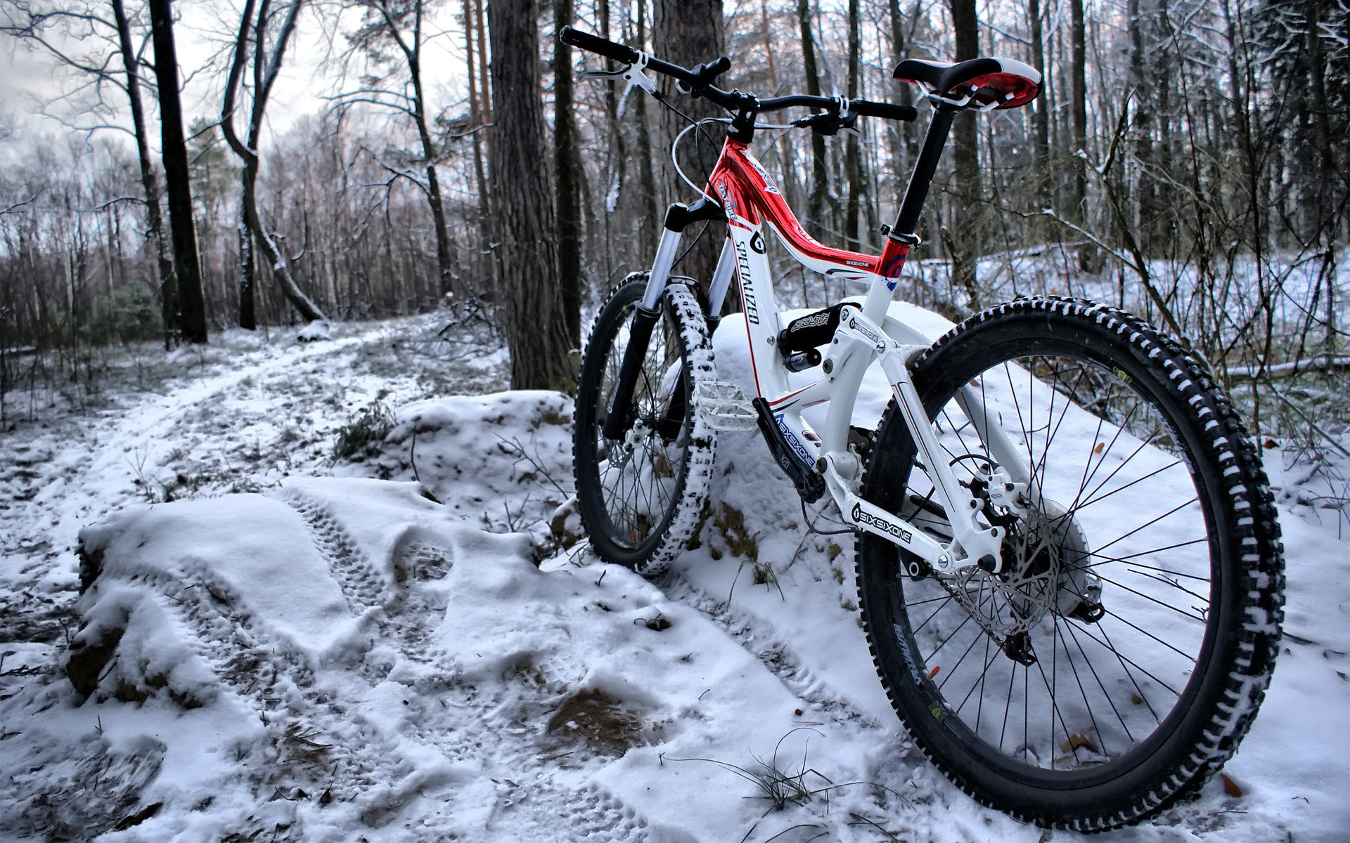 3d обои Велосипед в заснеженном лесу  зима # 40778