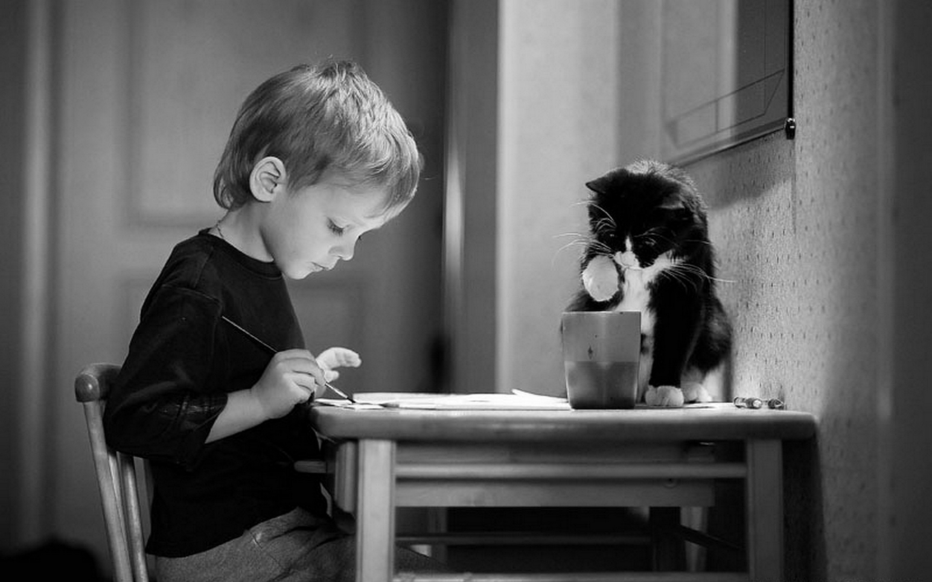 3d обои Маленький мальчик и черно-белый котик рисуют  животные # 38342