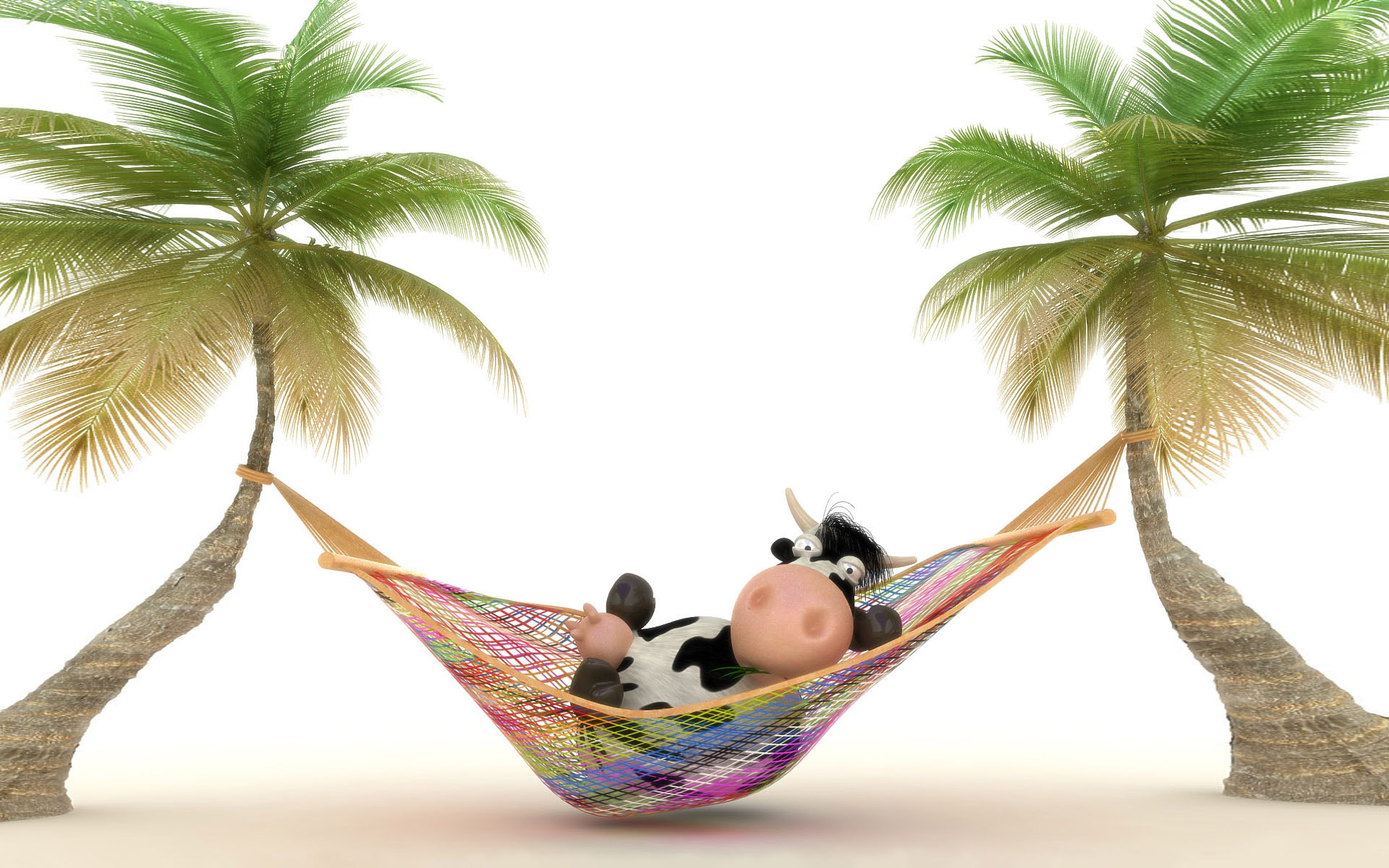 3d обои Корова отдыхает в сетке между пальмами  животные # 38306