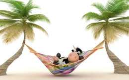 3d обои Корова отдыхает в сетке между пальмами  деревья