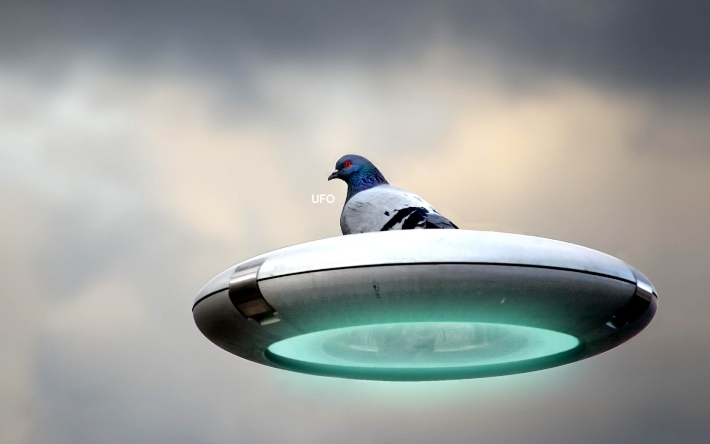 3d обои Голубь на летающей тарелке (UFO)  ретушь # 76385