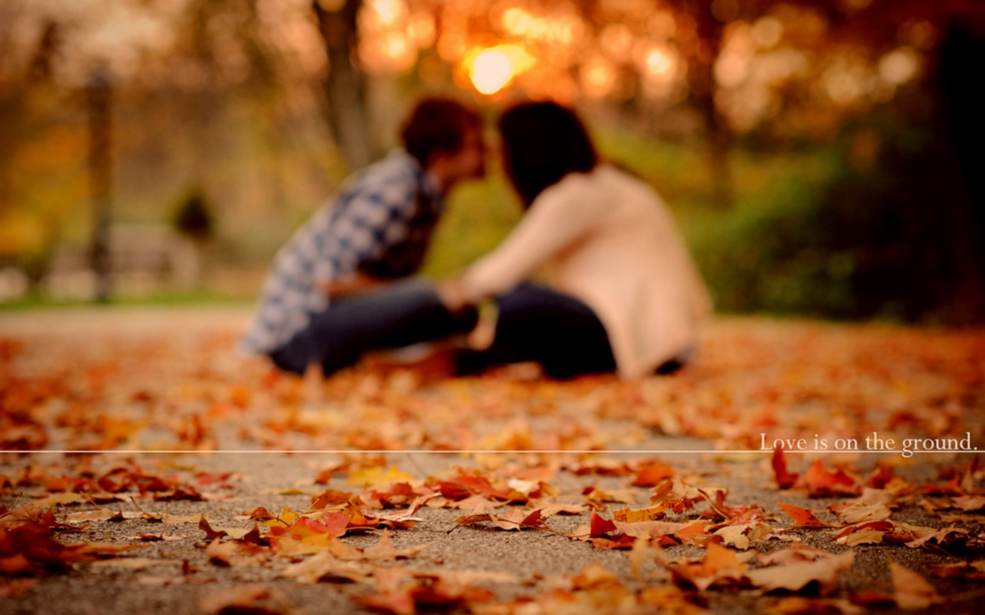 3d обои Осенняя прогулка влюбленных (Love is on the ground)  листья # 50802