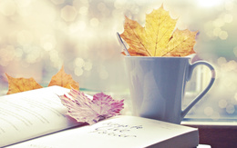 3d обои Осенний кленовый лист в белой чашке рядом с книгой  листья