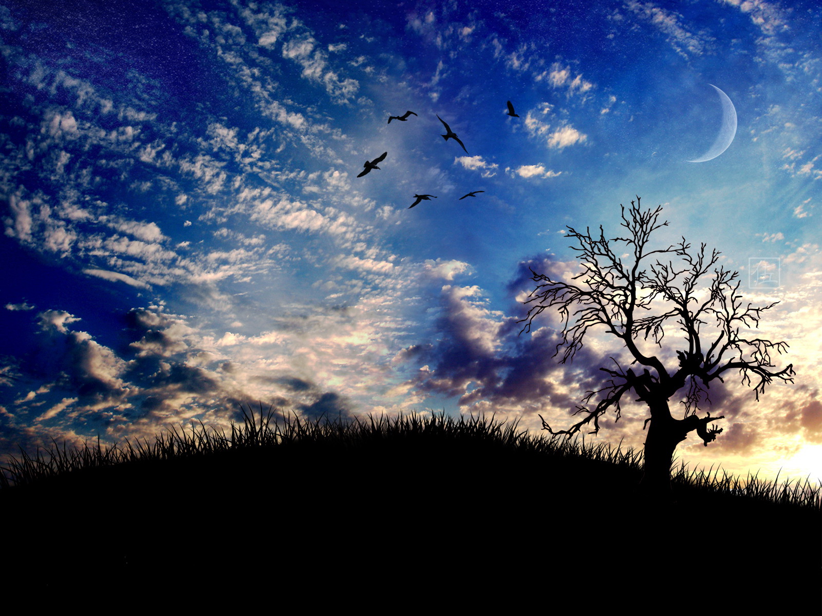 3d обои Над одиноким сухим деревом кружат птицы  луна # 51424