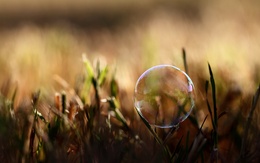 3d обои Мыльный пузырь в траве  макро