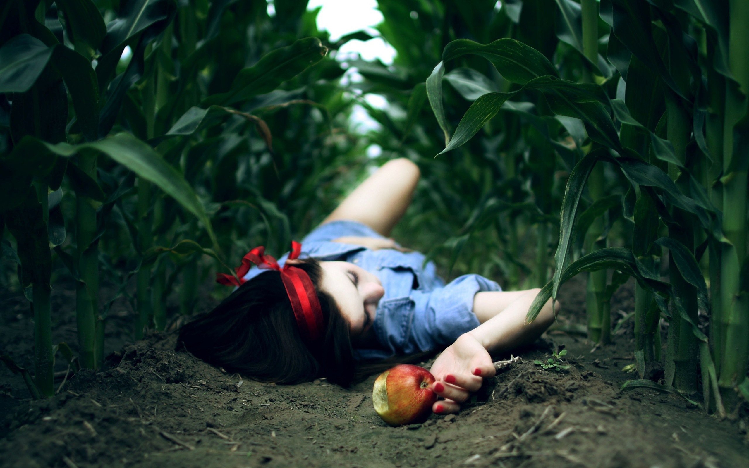3d обои Белоснежка откусила кусочек отравленного яблока и теперь лежит в кукурузном поле  сказки # 80037