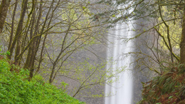 3d обои Водопад в глухом лесу  вода