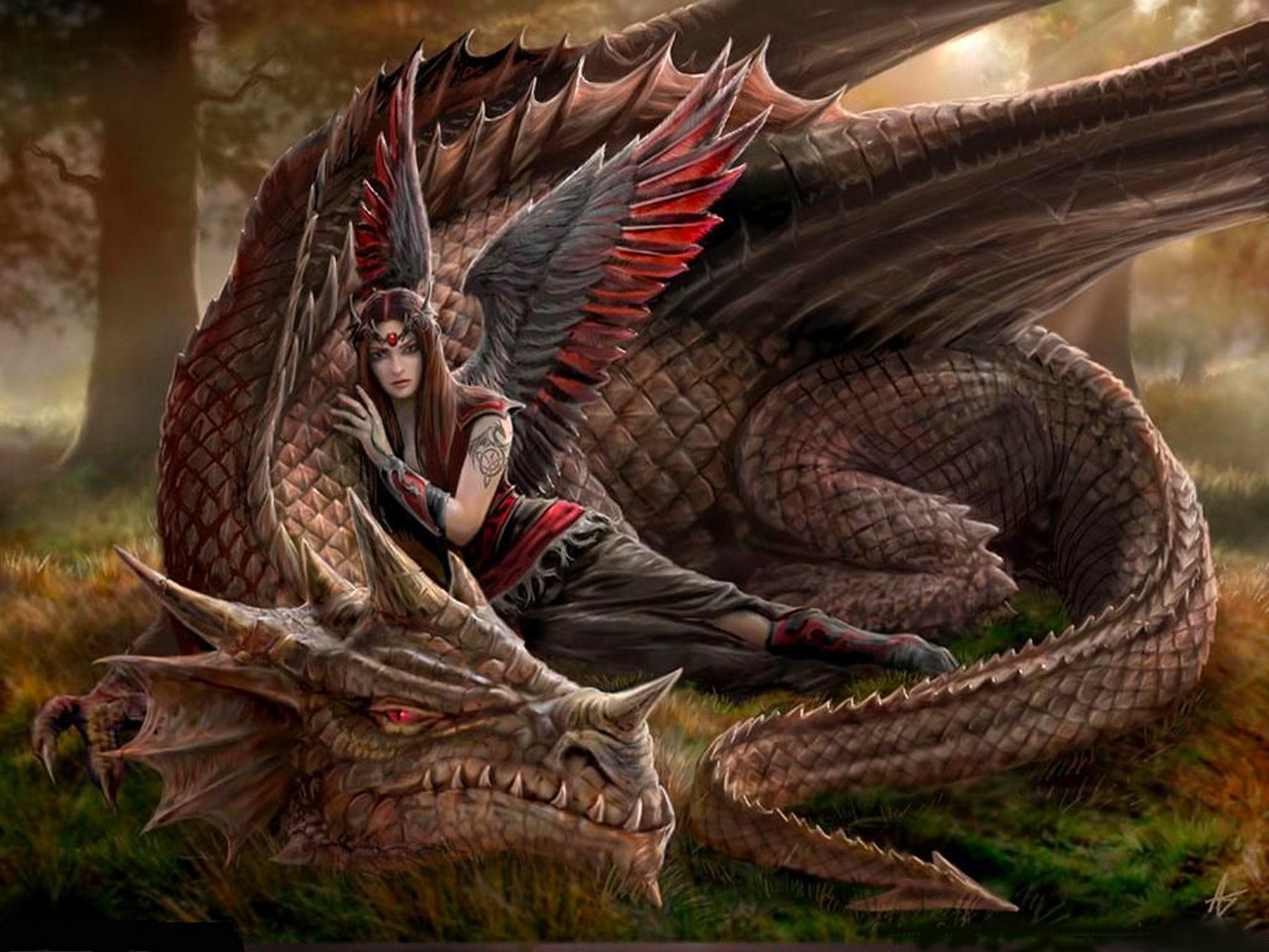 3d обои Дракон и ангел отдыхают на поляне в лесу  драконы # 35821