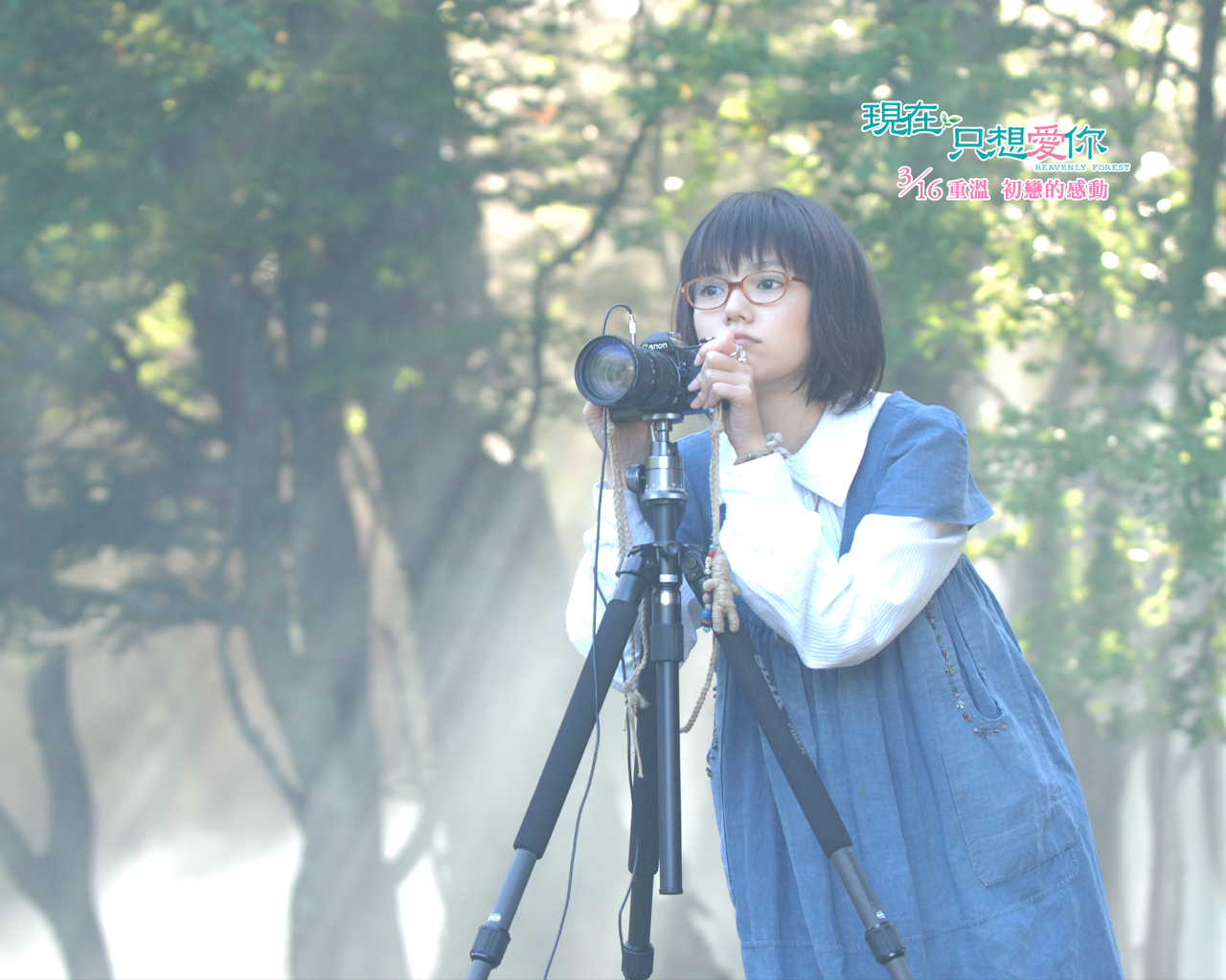 3d обои Сизуру фотографирует, фильм Я просто люблю тебя / Tada, kimi wo aishiteru (Heavenly forest)  известные люди # 42064