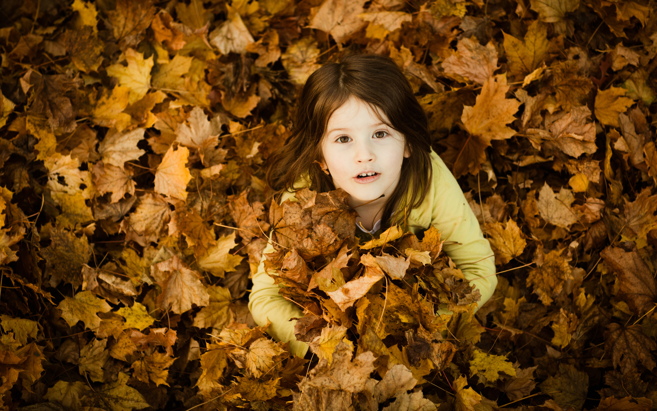 3d обои Девочка в опавших осенних листьях  листья # 50797