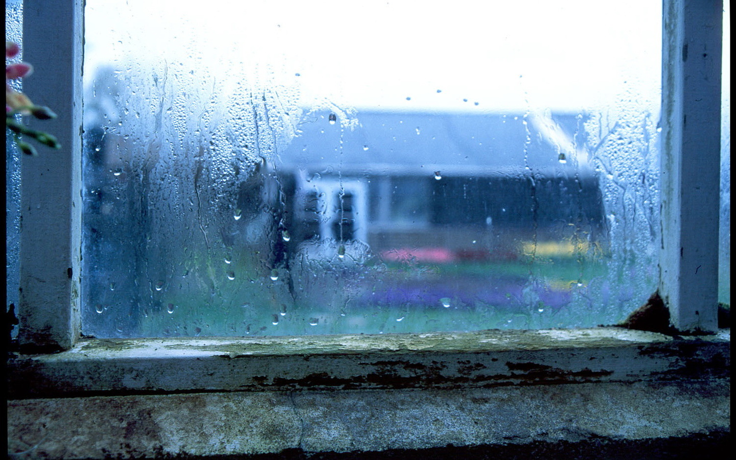 3d обои Дождь за старой оконной рамой. Вид на дом напротив. Запотевшее стекло.  1440х900 # 4991