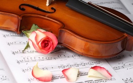 3d обои Скрипка, нотный стан и роза  предметы