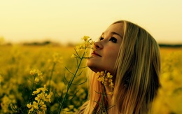 3d обои Милая блондинка нюхает жёлтые цветы  цветы