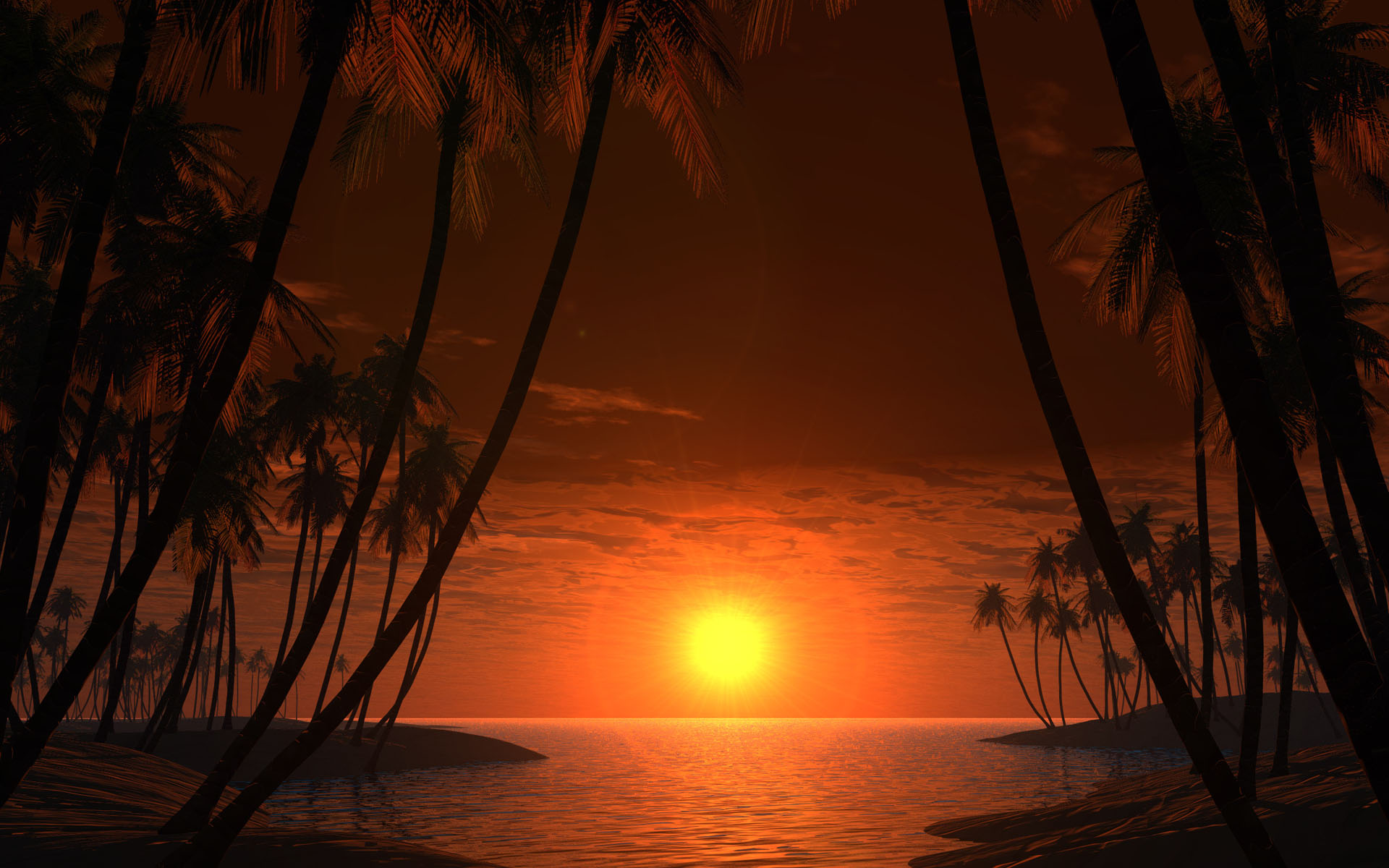 3d обои Закат на морском тропическом побережье  солнце # 81582