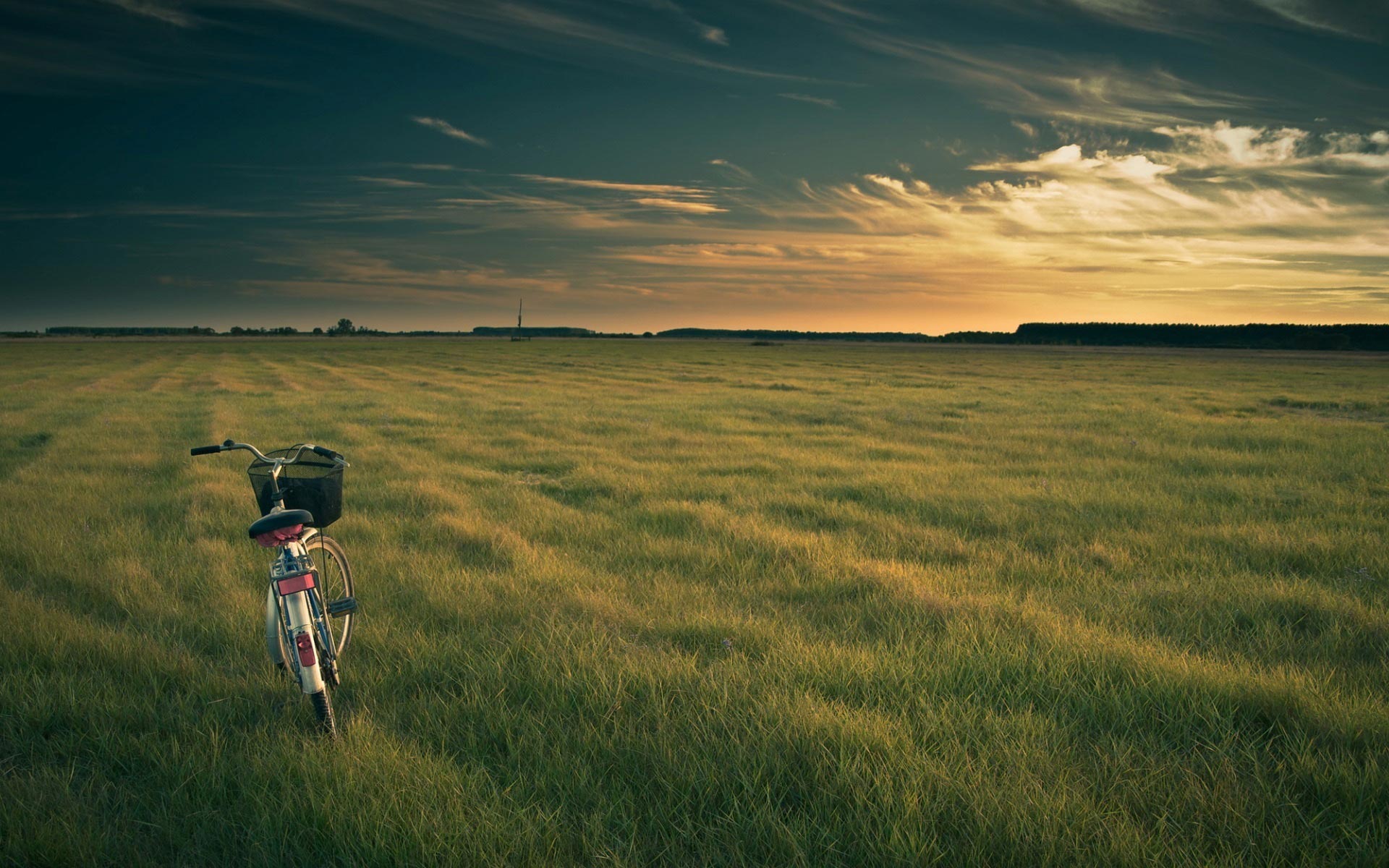 3d обои Одинокий велосипед на скошенном зеленом поле  техника # 82835