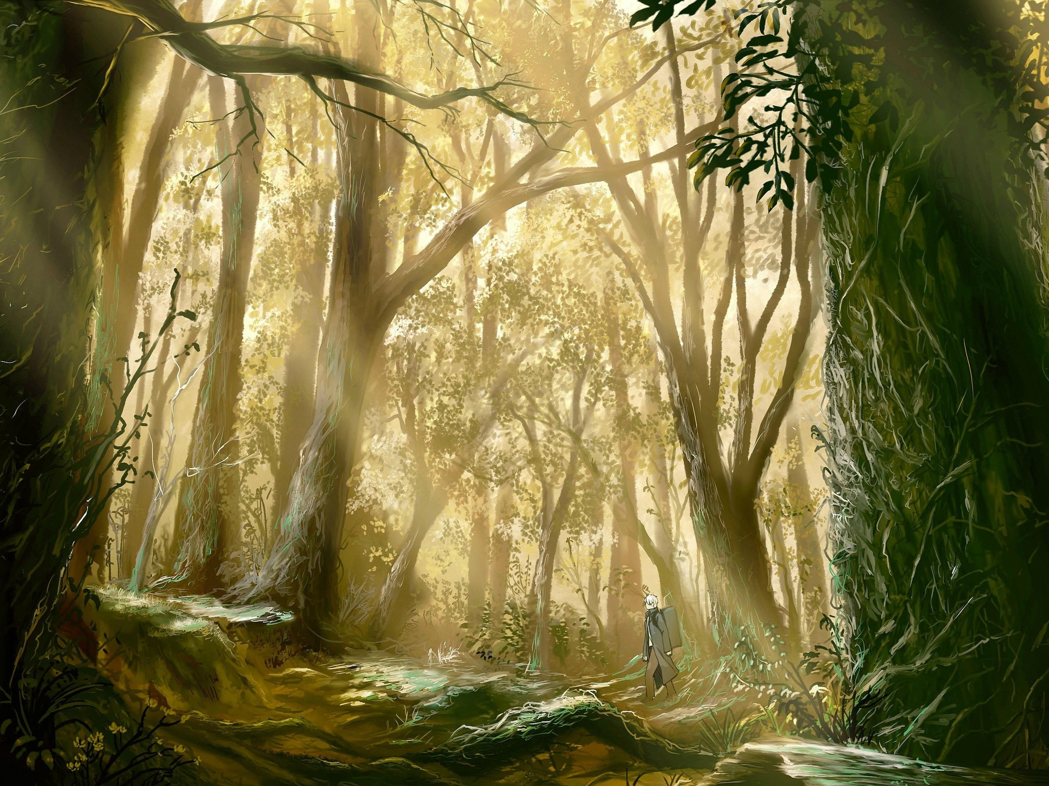 3d обои Парень идет по лесу (аниме Bug Master)  лес # 49348