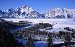 3d обои Вид на заснеженный лес и горы  снег