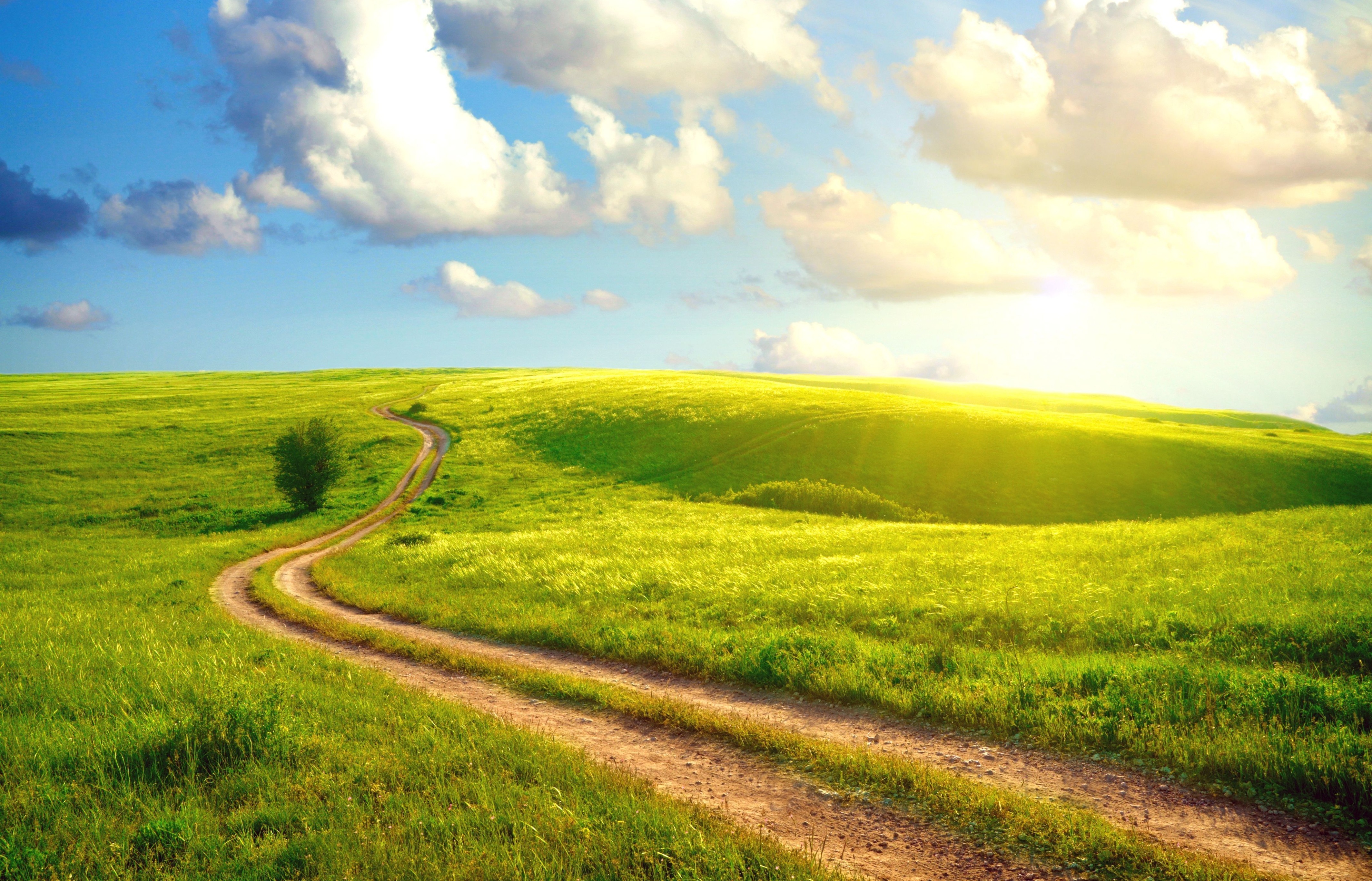 3d обои Зеленая трава, красивое голубое небо с облаками и дорога в поле  дороги # 35454