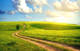 3d обои Зеленая трава, красивое голубое небо с облаками и дорога в поле  дороги