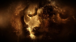 3d обои Огненный лев  львы