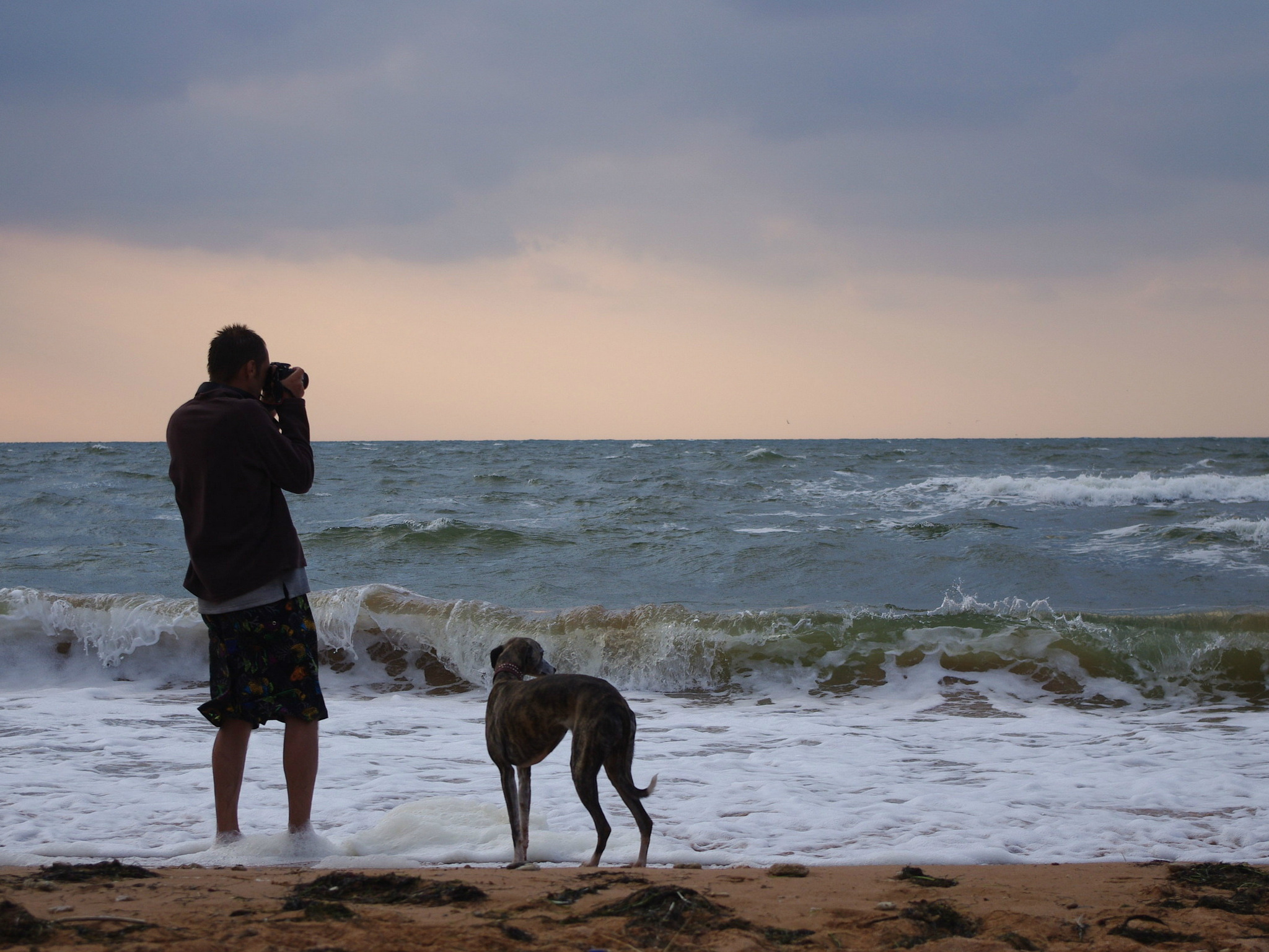 3d обои Парень с собакой фотографирует море  2048х1536 # 7486
