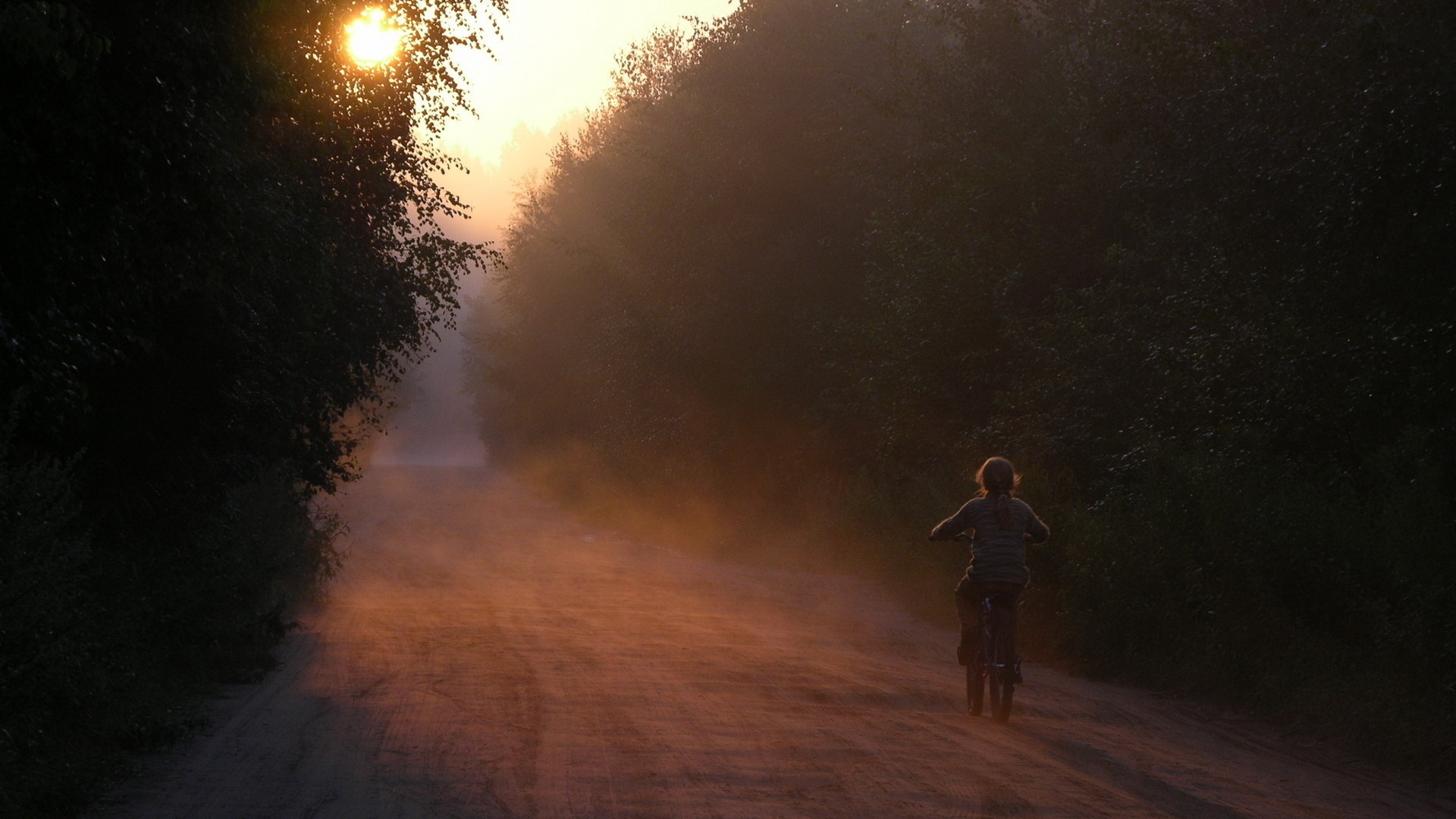 3d обои Утренняя дымка на сельской дороге, по которой едет девочка на велосипеде  1920х1080 # 9125