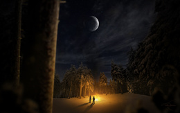 3d обои Два человека жгут костер темной звездной ночью, а вокруг них зима, снег, зловещий лес  люди