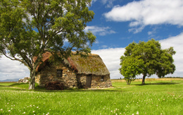 3d обои Каменный домик в поле с травяной крышей среди деревьев  природа