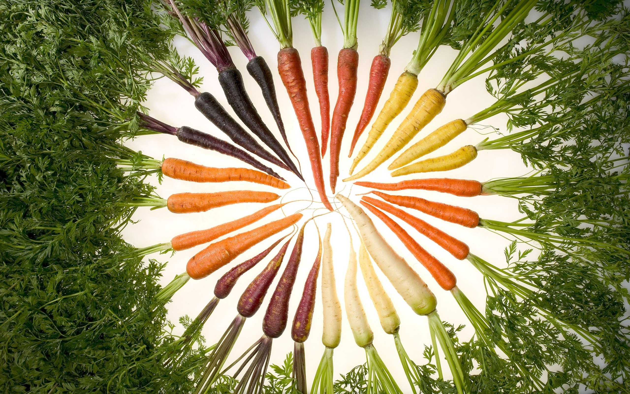 3d обои Изобилие цветов моркови  еда # 36553