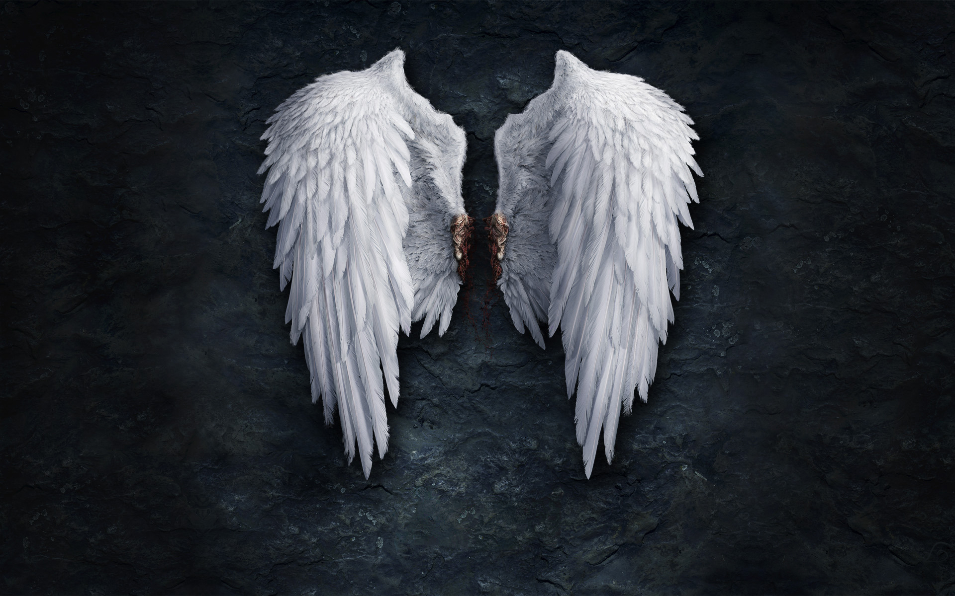 3d обои Оторванные ангельские крылья, на них виднеется кровь  ретушь # 76255