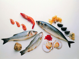3d обои Дары моря: рыба, мидии, креветки  рыбы