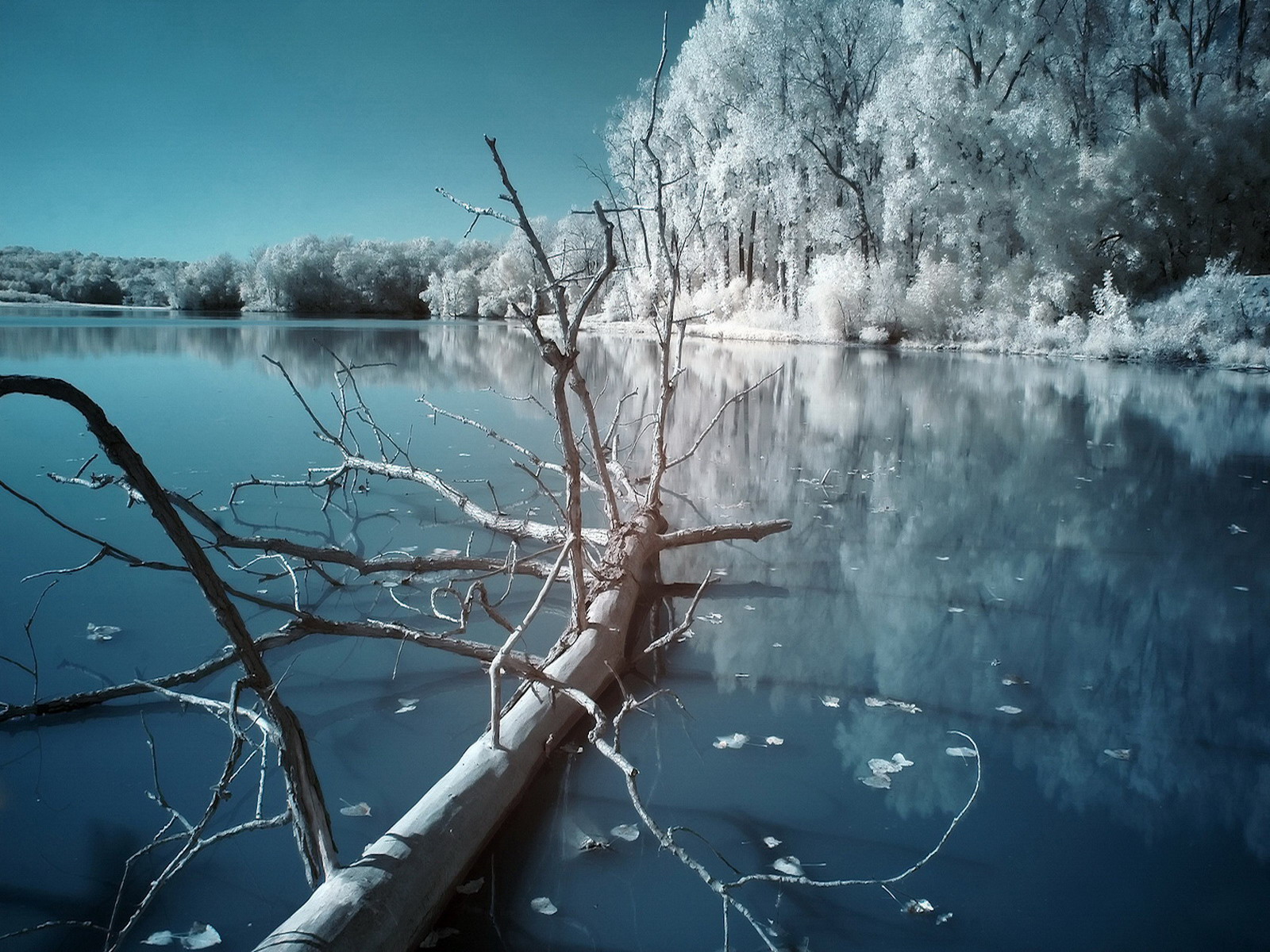 3d обои Зима наступает...Деревья опушились серебристым инеем, вода покрылась тонкой корочкой льда.  вода # 21482