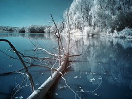 3d обои Зима наступает...Деревья опушились серебристым инеем, вода покрылась тонкой корочкой льда.  вода