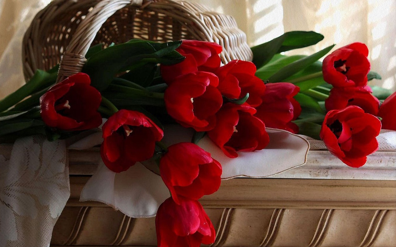 3d обои Опрокинутая корзинка с красными тюльпанами  цветы # 86194