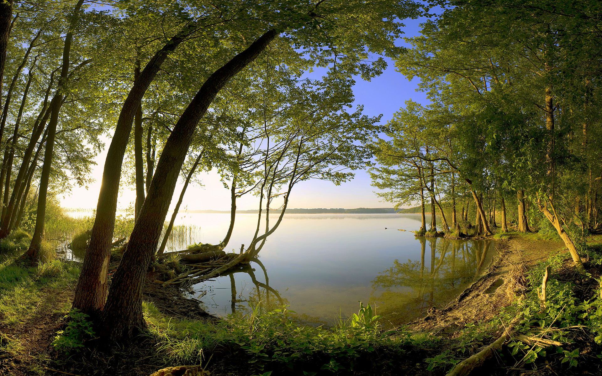 3d обои Красивый пейзаж озера со стороны леса  вода # 21468