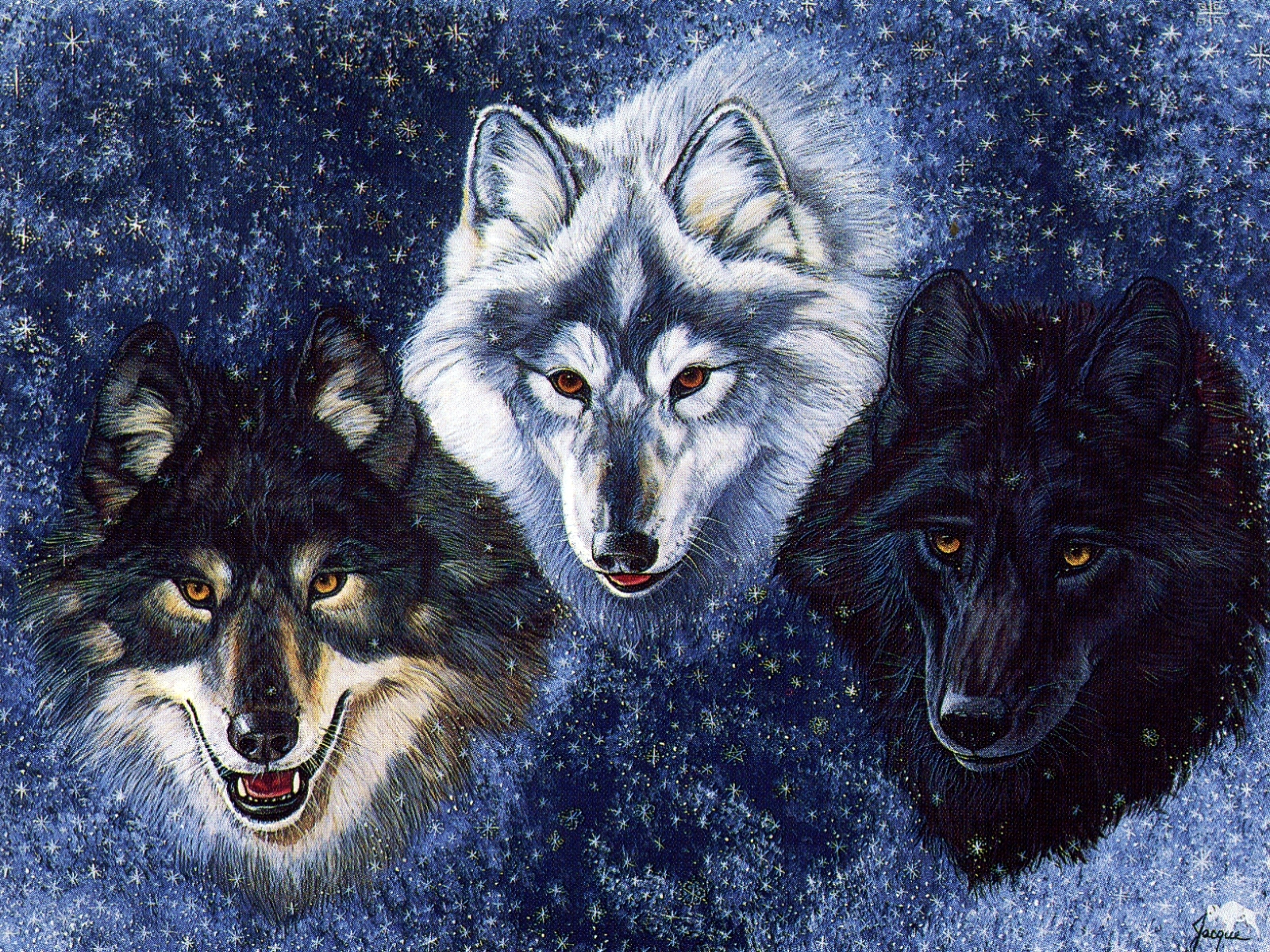 3d обои Волки трёх разных мастей  волки # 23341