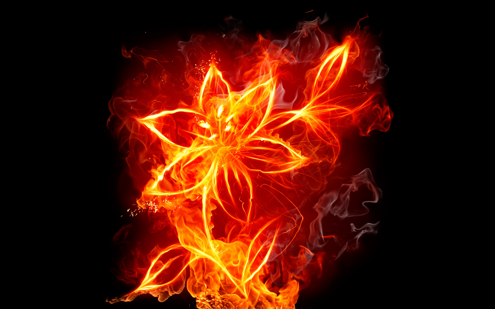 3d обои Огненный цветок  огонь # 67994