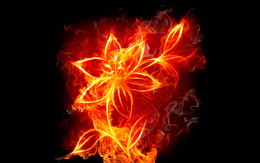 3d обои Огненный цветок  огонь