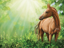 3d обои Молодой конь пасётся в лесу  лошади