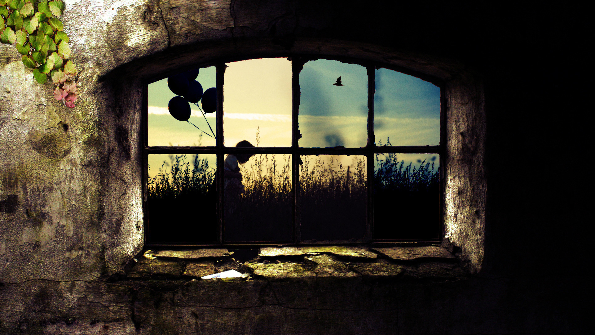 3d обои Окно в старом доме, поросшем плющем, через которое видно девушку со связкой воздушных шаров  воздушные шары # 23285