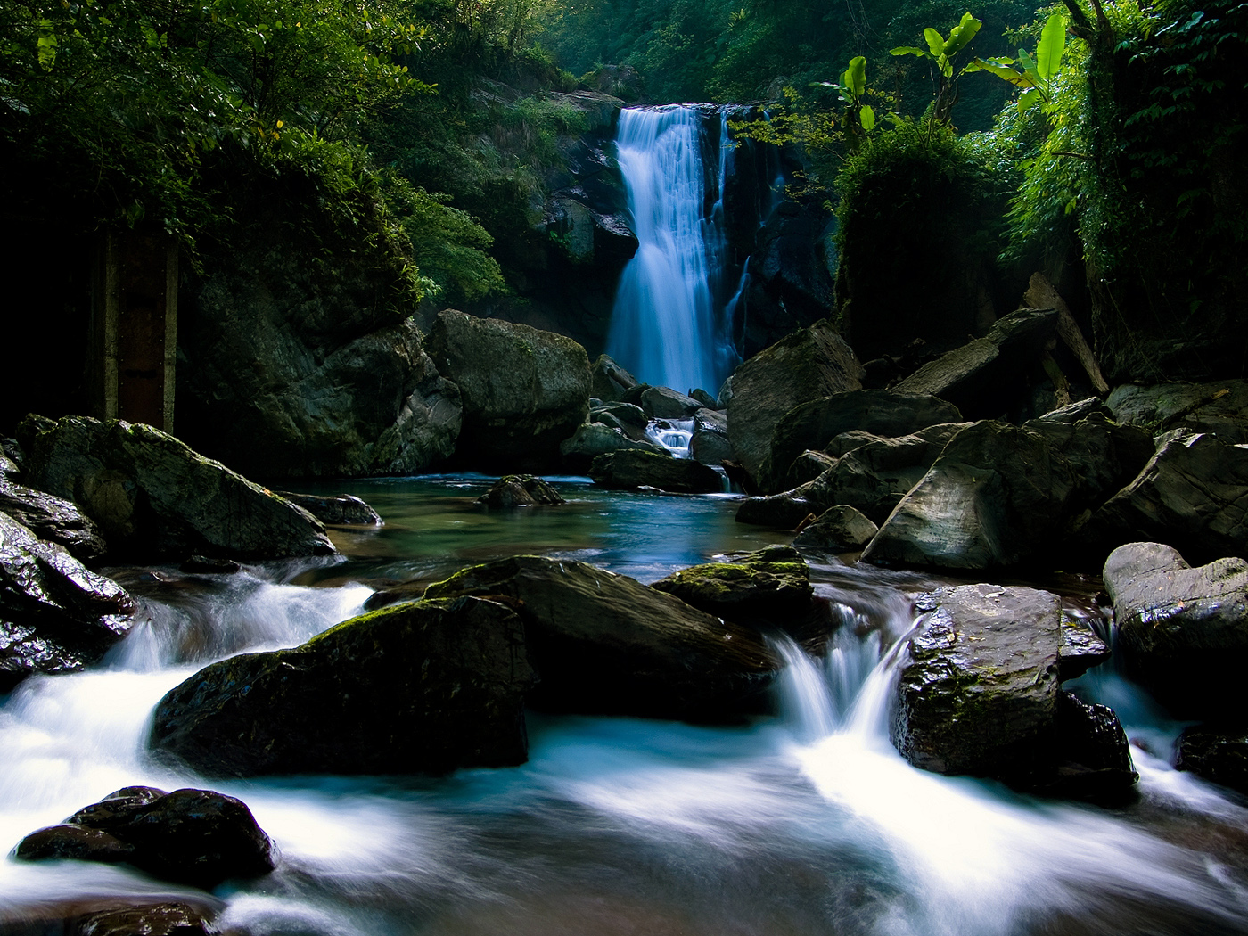 3d обои Небольшой водопад в лесной чаще  вода # 21416