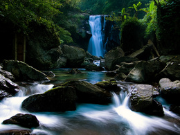 3d обои Небольшой водопад в лесной чаще  1400х1050