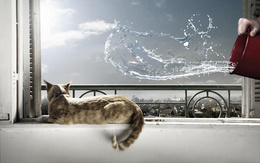 3d обои Кот смотрит как хозяин выливает воду из ведра  предметы