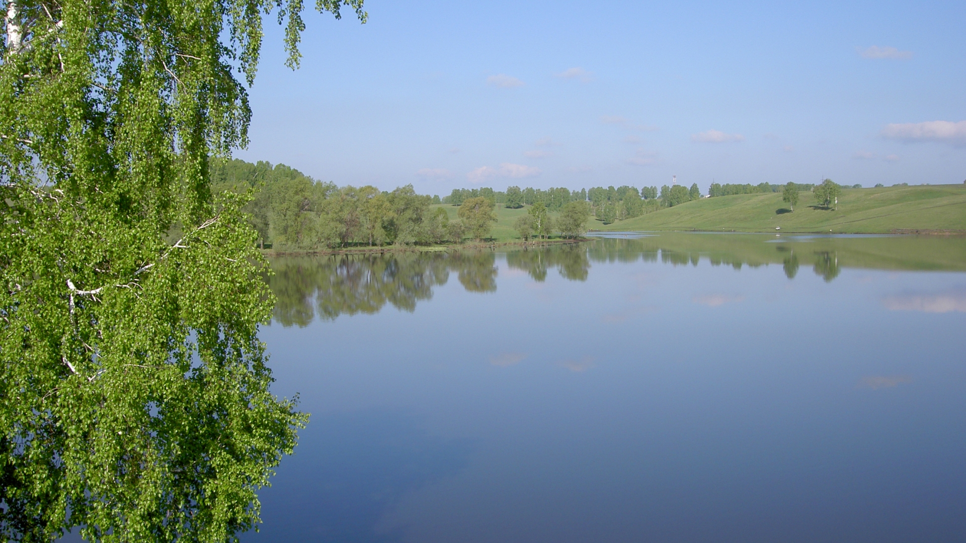 3d обои Типичный российский пейзаж-берёзка склонила ветви к воде, пологие холмы с редкими деревцами и голубое небо  1920х1080 # 9106